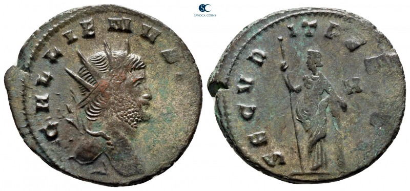 Gallienus AD 253-268. Rome
Antoninianus Æ

23 mm., 3,16 g.



very fine