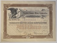Mexico Delaware Tecolote Copper Mines Corporation Preferred Share 10000 Shares 1929
.