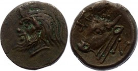Ancient Greece Pantiapaion AE Dihalk 330 - 315 BC
Weight 3,62 gm.; Obv. Head of satyr. Rev: Head of bull. Legend PAN.