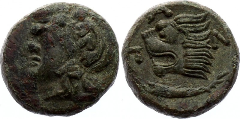 Ancient Greece Tetrahalk 294 - 284 BC
Weight 6,21 gm; Pantiapaion. Obv. Head of...