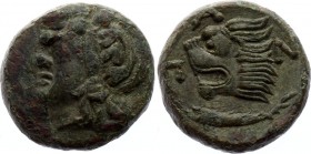 Ancient Greece Tetrahalk 294 - 284 BC
Weight 6,21 gm; Pantiapaion. Obv. Head of satyr. Rev: Head of lion, sturgeon. egend PAN.