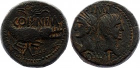 Roman Empire Augustus and Agrippa - Crocodile Dupondius 16 -15 BC
RIC 155; Sear 1729; Obv: IMP above heads of Augustus and Agrippa back to back with ...