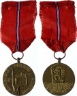 Czechoslovakia Medal "Slovak National Uprising"
With Document; Slovenské národné povstanie