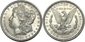 United States Morgan Dollar 1881
КМ# 110; Silver 26,74g.; UNC; Mint luster