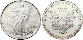 United States 1 Dollar 1993
KM# 273; American Eagle; UNC
