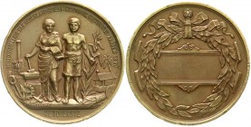 CHINA und Südostasien
Niederländisch-Ostindien
Wilhelmina I., 1890-1948
Bronze-Verdienstmedaille 1879 von Elion. Kolonialausstellung in Arnhem. 50 ...