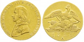 Altdeutsche Goldmünzen und -medaillen
Brandenburg-Preußen
Friedrich Wilhelm III., 1797-1840
Doppelfriedrichs d'or 1811 A, Berlin. 13,31 g.
sehr sc...