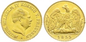 Altdeutsche Goldmünzen und -medaillen
Brandenburg-Preußen
Friedrich Wilhelm IV., 1840-1861
Friedrich d`or 1855 A, Berlin. 6,67 g.
vorzüglich/Stemp...