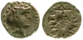 Altgriechische Münzen
Sizilien
Entella
Bronzemünze, 15 mm, um 36 v. Chr. Kopf des Dionysos r./Weintraube.
gutes sehr schön, selten