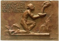 Medaillen
Medicina in Nummis
Bäderwesen
Eins., rechteckige Bronzegussplakette 1933 von G.B. Zur Erinnerung an das Saba-Ferienheim Meersburg am Bode...