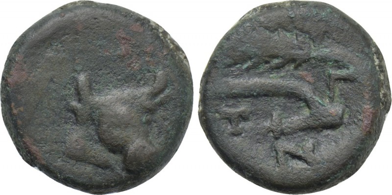 UNCERTAIN. Ae (2nd-1st centuries BC). 

Obv: Head of bull facing slightly righ...