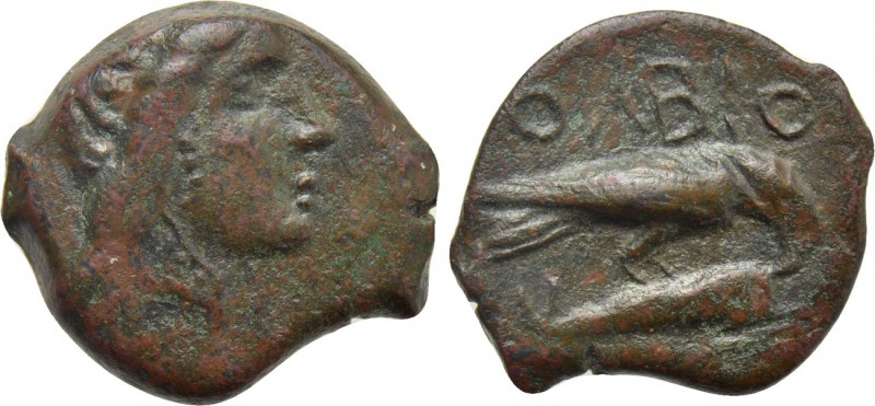 SKYTHIA. Olbia. Ae (Circa 380-360 BC). 

Obv: Laureate head of Apollo right.
...