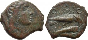 SKYTHIA. Olbia. Ae (Circa 380-360 BC).