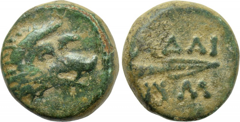 KINGS OF THRACE (Seleukid). Adaios (Circa 253-243 BC). Ae. 

Obv: Head of boar...
