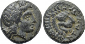 TROAS. Antandros. Ae (4th-3rd centuries BC).