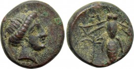 TROAS. Gentinos. Ae (4th century BC).