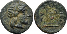 TROAS. Larissa-Ptolemais. Ae (3rd century BC).