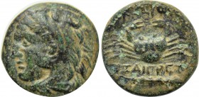 CARIA. Kos. Ae (4th century BC). Xaigretos, magistrate.