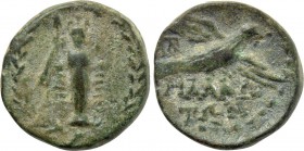 CILICIA. Mallos. Ae (Circa 2nd-1st centuries BC).