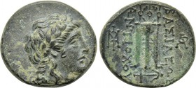 SELEUKID KINGDOM. Antiochos II Theos (261-246 BC). Ae. Sardes.