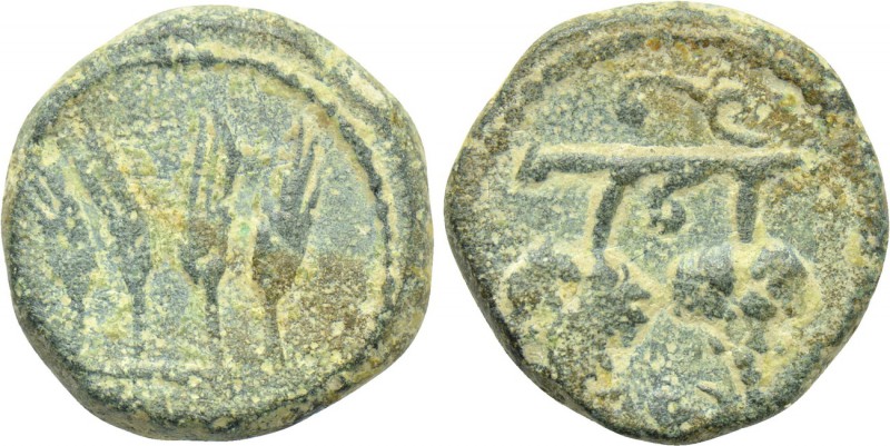 UNCERTAIN (1st-2nd centuries?). Ae. 

Obv: Four grain ears.
Rev: Two grape bu...