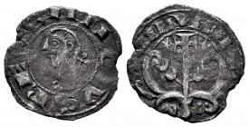 Kingdom of Navarre. Sancho el Sabio (1150-1194). Dinero. Navarre. (Cru-222 var). Rev.: NAVARA. Ve. 0,94 g. Scarce. VF. Est...200,00. 

SPANISH DESCRIP...