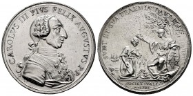 Charles III (1759-1788). Medal. 1785. Ag. 23,56 g. Engraver: Pelenguer. 36 mm. Scrachtes. Choice VF. Est...170,00. 

SPANISH DESCRIPTION: Carlos III (...