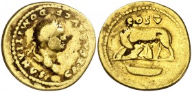 (77-78 d.C.). Domiciano. Áureo. (Spink 2621) (Co. 50) (RIC. 960, de Vespasiano) (Calicó 820a). 6,79 g. MBC-.