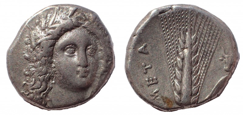 Lucania, Metapontum Ar Nomos circa 330-290 BC, 19 mm. 7.9 gm. Obv: Head of Demet...