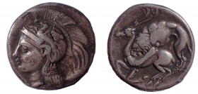 Lucania, Didrachm, Velia, c. 280 BC