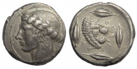 Sicily - Leontinoi - AR Tetradrachm 455-430 BC
