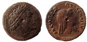Ptolemaic Kings of Egypt. Ptolemy III  Æ Dichalkon. Kyrene, circa 246-140 BC. 21 mm
