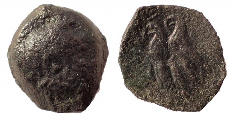 Ptolemy IX Soter (116-106 BC) with Kleopatra II - AE 19 mm. 7.8 gm. Cyprus. Obv:...