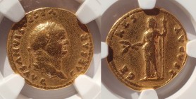 Vespasian (AD 69-79). Gold Aureus