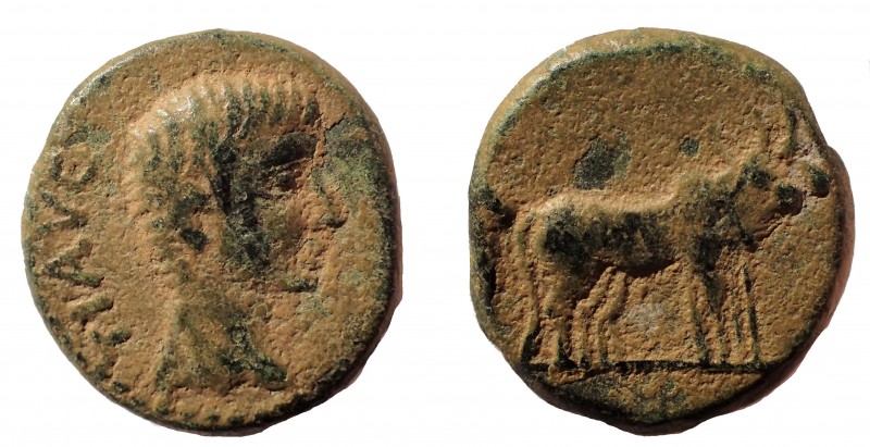 Macedon, Philippi. Tiberius. A.D. 14-37. AE 17 mm. 4.5 gm. Obv: TI AVG, bare hea...