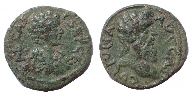 Macedon. Cassandraea. Geta (Caesar, 198-217). Ae 18 mm. 3.1 gm. Obv: P SEP GETAS...