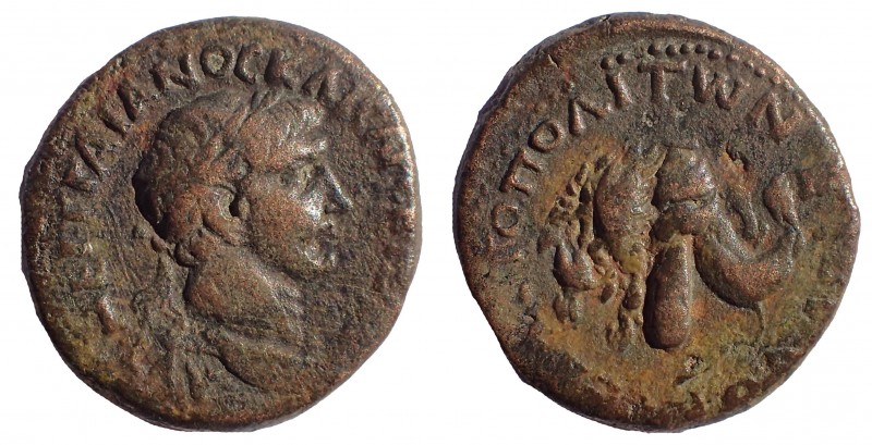Pontus, Sebastopolis, Trajan, 98-117, Ae 22 mm. 12.2 gm. Dated 106/7. Obv: ΑΥΤ Ν...