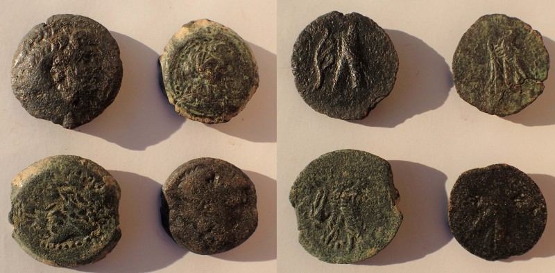 Ptolemaic Kings of Egypt. Lot of four bronze late issues, including Ptolemy X an...