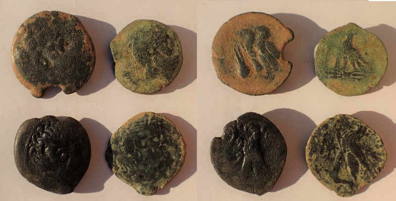 Ptolemaic Kings of Egypt. Lot of four bronze late issues, including Ptolemy X an...