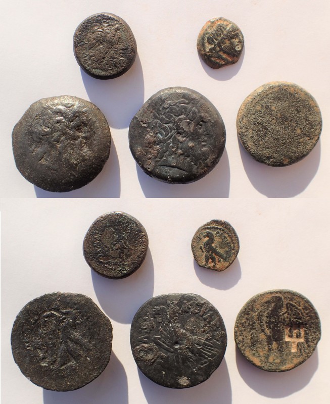 Ptolemaic Kings of Egypt. Lot of five bronze late issues, including Ptolemy II, ...