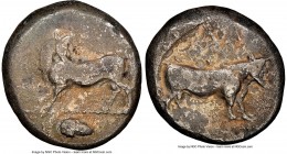 LUCANIA. Laus. Ca. 480-460 BC. AR stater (19mm, 7.86 gm, 2h). NGC Fine 4/5 - 2/5. ΛAS (retrograde), man-faced bull standing left, head reverted; acorn...