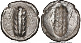 LUCANIA. Metapontum. Ca. 510-470 BC. AR stater (23mm, 12h). NGC VF. MET, barley ear of seven grains; lizard to right / Incuse of barley ear. Noe Class...