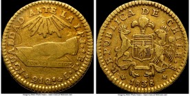 Republic gold Escudo 1838 So-IJ VF20 NGC, Santiago mint, KM99. Mintage: 6,122. Evenly worn and charming as such with a couple of small marks on the ob...