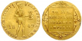 Netherlands 1 Ducat 1849 St Petersburg Mint. Imitating a gold Ducat of Willem II Rare Russia 1 Ducat 1849. Russian Empire time of Nicholas I (1826-185...