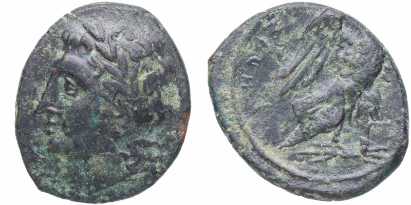 287-278 aC. Hikétas (287-278 aC). Siracusa. Hemilitron. HGCS.2/1418. CNS 157. Ae...