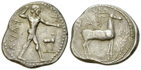 Kaulonia AR Nomos, c. 525-500 BC 

 Bruttium, Kaulonia. AR Nomos (20-23 mm, 7.72 g), c. 525-500 BC.
Obv. Apollo advancing right, holding branch in ...