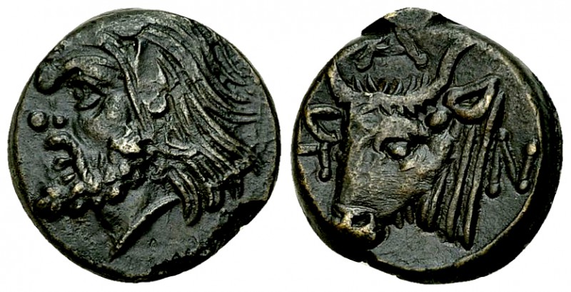 Pantikapaion AE17, c. 325-310 BC 

Pantikapaion, Tauric Chersonesos. AE17 (4.1...