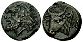 Pantikapaion AE17, c. 325-310 BC 

Pantikapaion, Tauric Chersonesos. AE17 (4.16 g), circa 325-310 BC.
Obv. Head of Satyr left.
Rev. ΠAN, Bull's he...