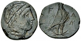 Olympia AE 2 Assaria, ex BCD 

 Olympia , Elis. AE 2 Assaria (25 mm, 10.32 g), early 30s BC (?).
Obv. Head of Hera right, wearing stephane.
Rev. E...
