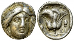 Rhodos AR Didrachm, c. 316-304 BC 

 Rhodos , Islands off Caria. AE Didrachm (18-19 mm, 6.69 g), c. 316-304 BC.
Obv. Head of Helios facing slightly...
